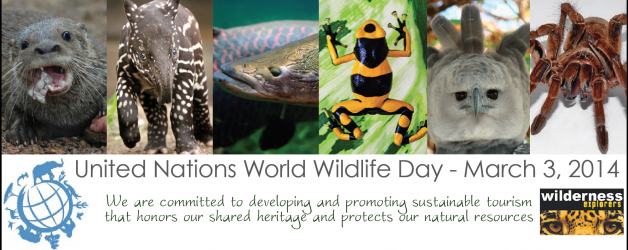 World Wildlife Day
