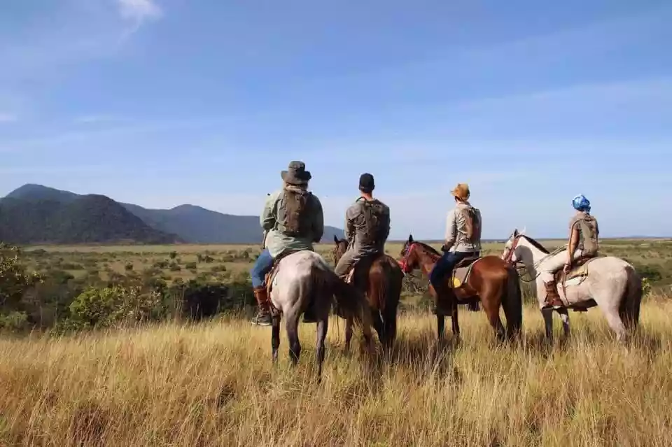 Saddle-Mountain-Ranch-1.jpg_compressed