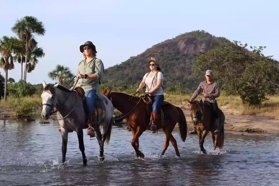 Saddle-Mountain-Ranch-3.jpg_compressed