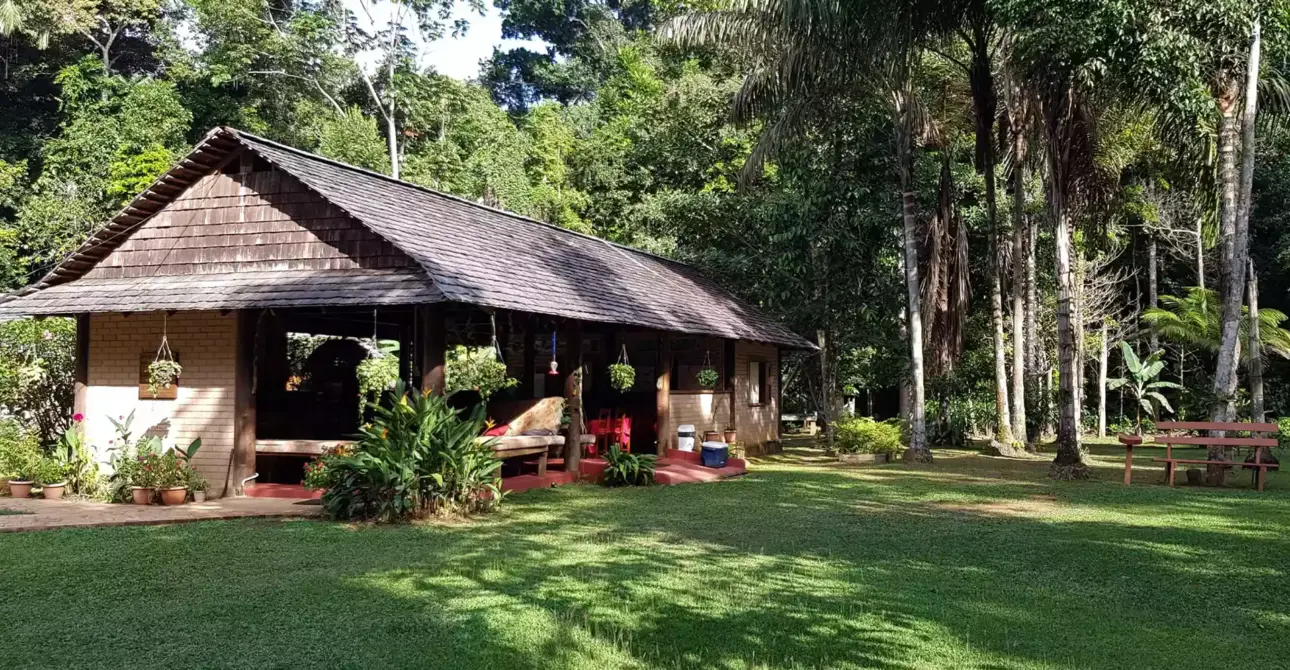 Atta-Rainforest-Lodge-4-1-scaled